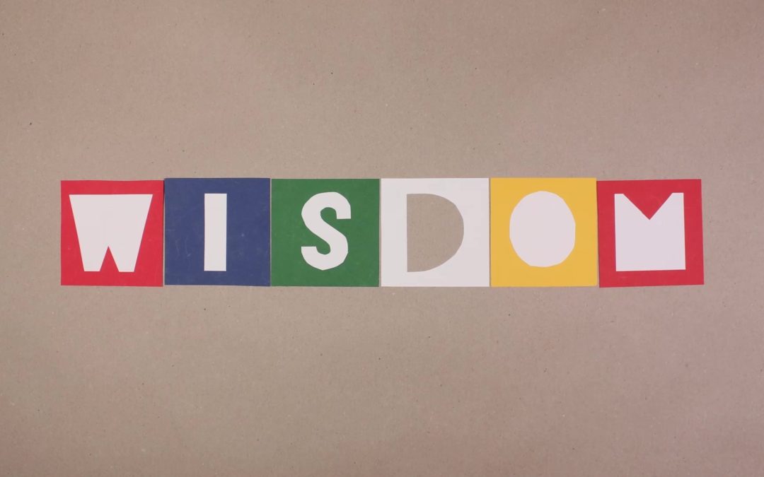 Our new module Wisdom is now live!